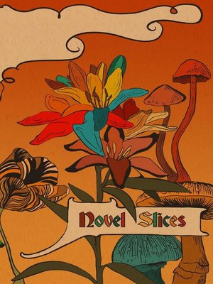 cover image of Novel Slices Issue 3